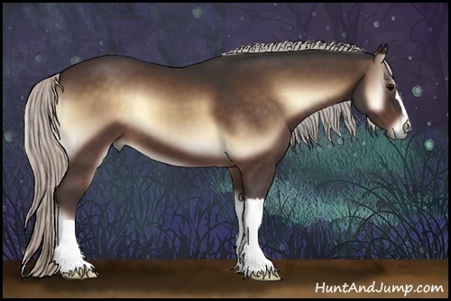 Horse Color:Silver Bay Onyx