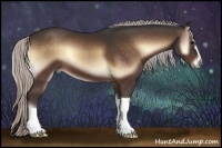 Horse Color:Silver Bay Onyx