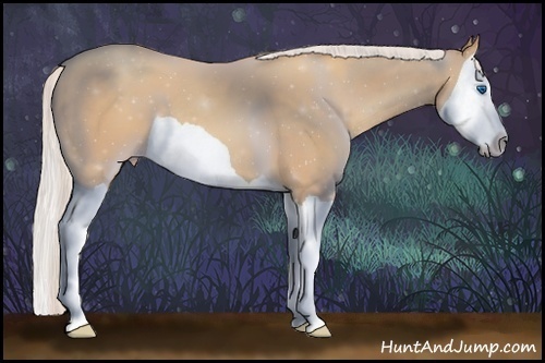Horse Color:Silver Amber Champagne Splash