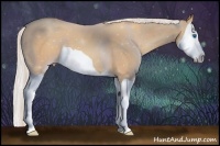 Horse Color:Silver Amber Champagne Splash 