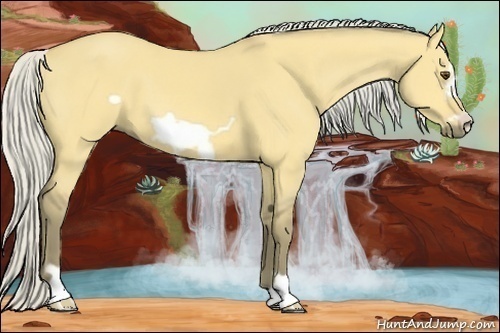 Horse Color:Silver Buckskin Dun Frame 