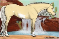 Horse Color:Silver Buckskin Dun Frame 