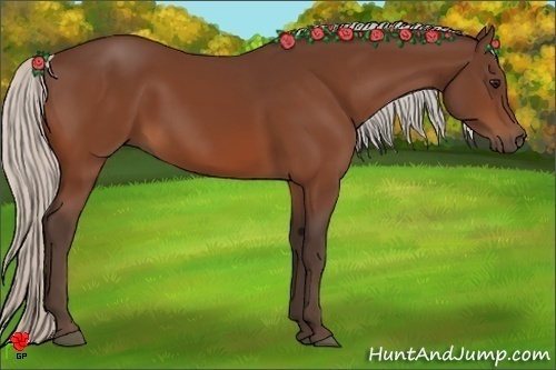 Horse Color:Silver Bay 