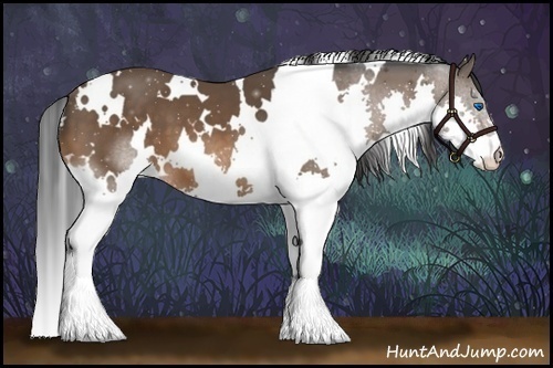 Horse Color:White Spotted Bay Splash 