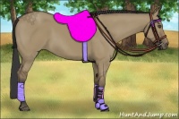 Horse Color:Buckskin Dun 