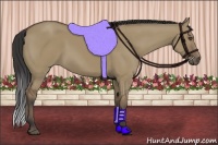 Horse Color:Buckskin Dun 