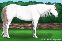 Horse Color:Bay Roan Dun Splash Frame Appaloosa 