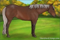 Horse Color:Silver Bay