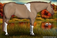 Horse Color:Red Dun Tobiano Rabicano 
