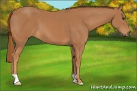 Horse Color:Chestnut Frame