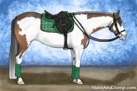 Horse Color:White Spotted Buckskin Splash Frame