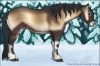 Horse Color:Bay Onyx 