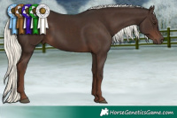 Horse Color:Liver Chestnut Mushroom 