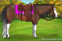 Horse Color:Bay Splash 