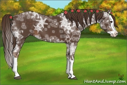 Horse Color:Liver Chestnut Ice Splash