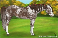Horse Color:Liver Chestnut Ice Splash 