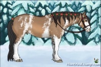 Horse Color:White Spotted Bay Dun Sabino 