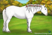 Horse Color:Silver Bay Dun Splash Varnish Rabicano