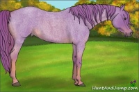 Horse Color:Watercolor Red Roan