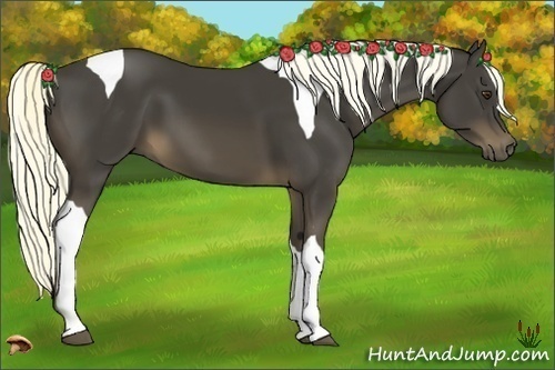 Horse Color:Liver Chestnut Tobiano