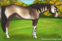 Horse Color:Liver Red Onyx Sabino