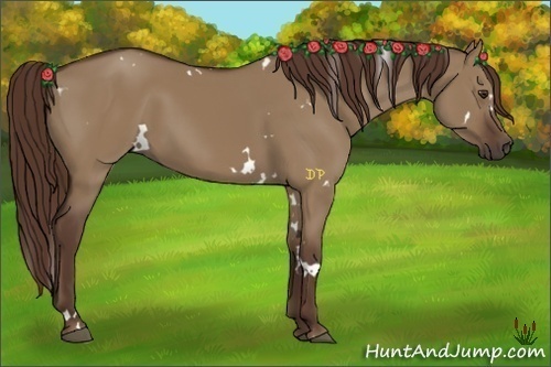 Horse Color:White Spotted Liver Red Dun 