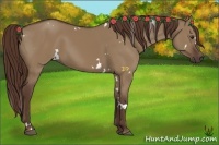 Horse Color:White Spotted Liver Red Dun