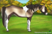 Horse Color:Liver Red Onyx Tobiano 