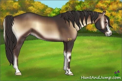 Horse Color:Liver Red Onyx 