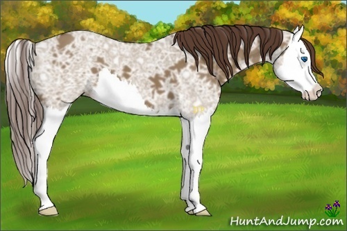 Horse Color:Liver Red Dun Ice Splash 