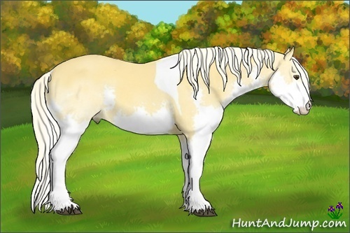 Horse Color:White Spotted Palomino Dun Splash Tobiano 