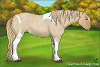 Horse Color:Red Dun Roan Tobiano
