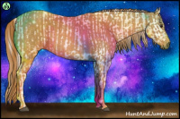 Horse Color:Gray Chestnut Brindle