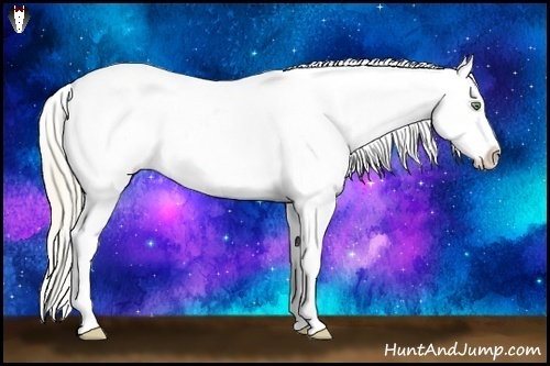 Horse Color:Gold Cream Champagne Blanket Rabicano