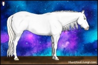 Horse Color:Gold Cream Champagne Blanket Rabicano