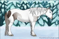 Horse Color:Liver Chestnut Ice Splash Tobiano 