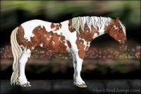 Horse Color:Watercolor White Spotted Silver Bay Ice Tobiano 