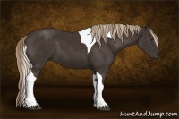 Horse Color:Liver Chestnut Tobiano