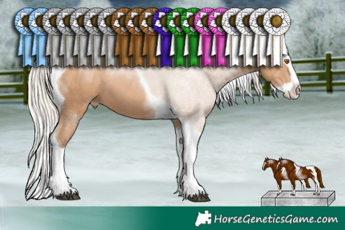 Horse Color:Silver Black Pearl Sabino Splash Tobiano 