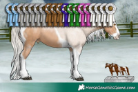 Horse Color:Silver Black Pearl Sabino Splash Tobiano 