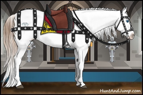 Horse Color:White Spotted Brown Roan Pearl Onyx Splash Snowflake Varnish