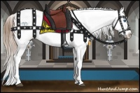 Horse Color:White Spotted Brown Roan Pearl Onyx Splash Appaloosa