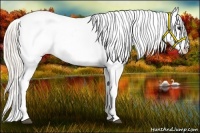 Horse Color:White Spotted Silver Bay Blanket Rabicano 