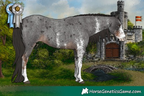 Horse Color:White Spotted Liver Red Roan 