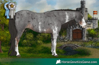 Horse Color:White Spotted Liver Red Roan