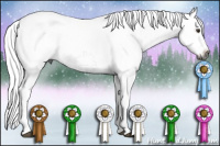 Horse Color:Gray Liver Chestnut Frame