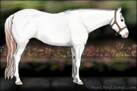 Horse Color:Grullo Roan Splash Varnish