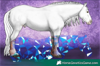 Horse Color:Watercolor Silver Buckskin Dun Tobiano Blanket 