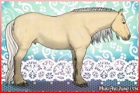 Horse Color:Silver Buckskin Roan Dun 
