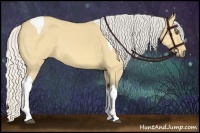 Horse Color:Silver Buckskin Dun Tobiano